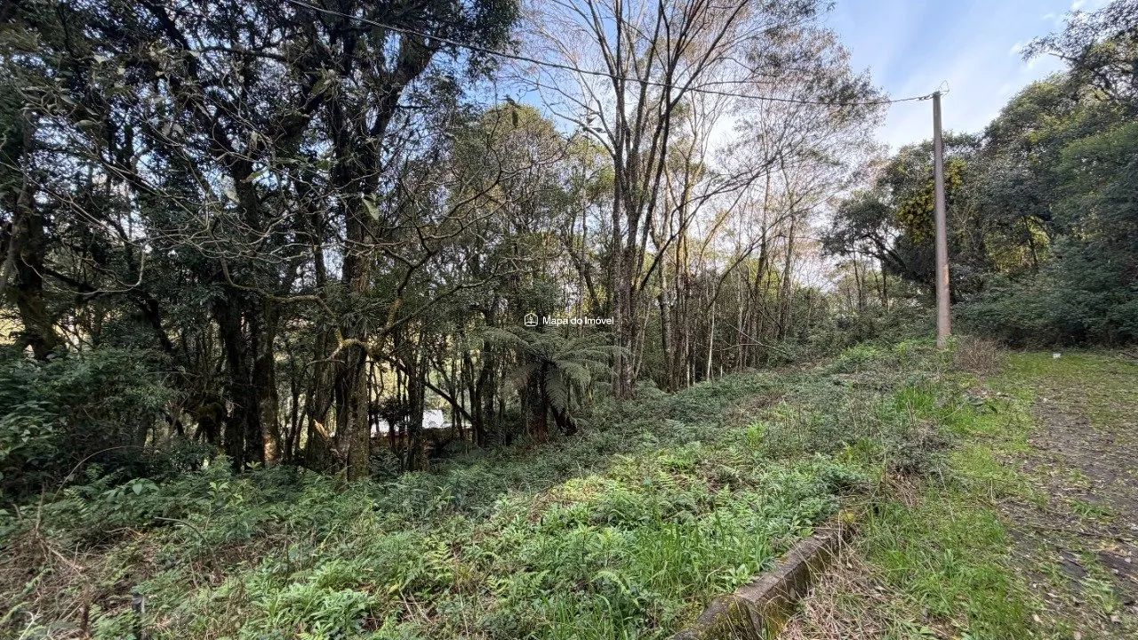 Terreno com Projeto em Canela! - Foto 5