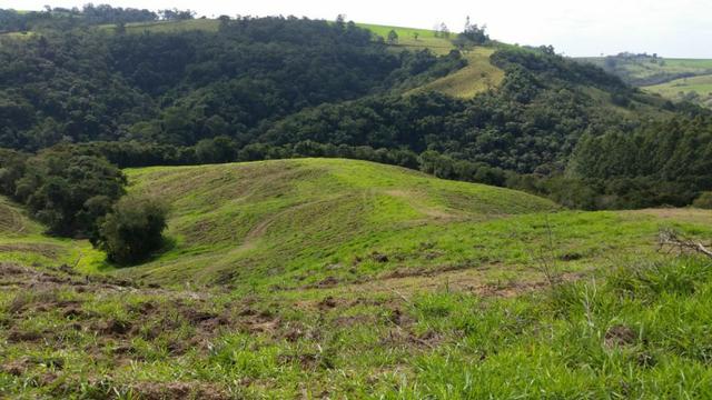 Sitio em arapoti