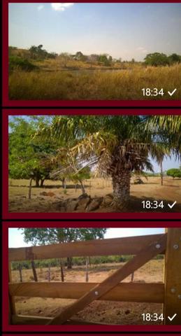 Vendo fazenda em Luzinopolis-To, 90 alqueires com 70 formado - Foto 3