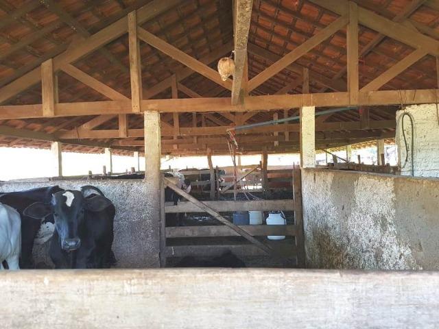 Fazenda de 100 ha em Sacramento/MG - Foto 7