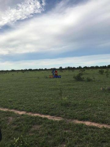 Fazenda a venda no estado do mato grosso - Foto 8