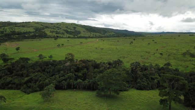 240 Alq. 160 km de Goiânia. (Gado e Soja) - Foto 10