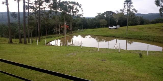 Chácara 7,5 Ha Vila Oliva - Foto 8