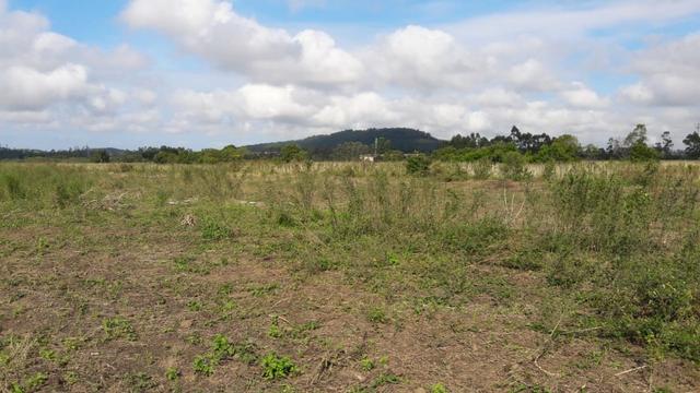 Terreno em Sangão próximo ao acesso do Aeroporto Regional - Foto 9
