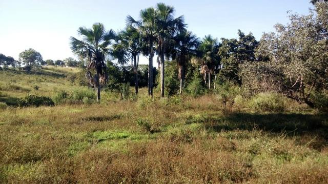 Fazenda no município de faina-GO! 24 Alqueires! - Foto 19