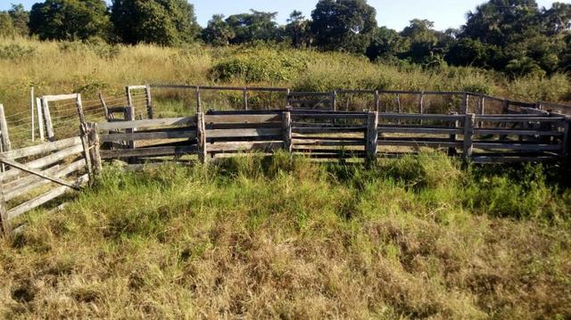 Fazenda no município de faina-GO! 24 Alqueires! - Foto 15