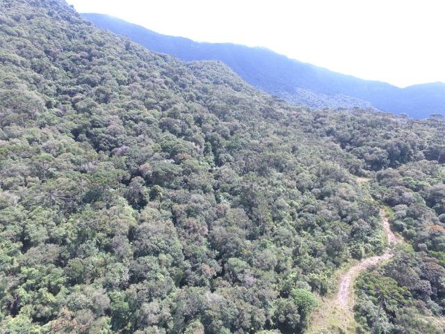 Sitio em Urubici /chácara em Urubici /área rural em Urubici - Foto 4