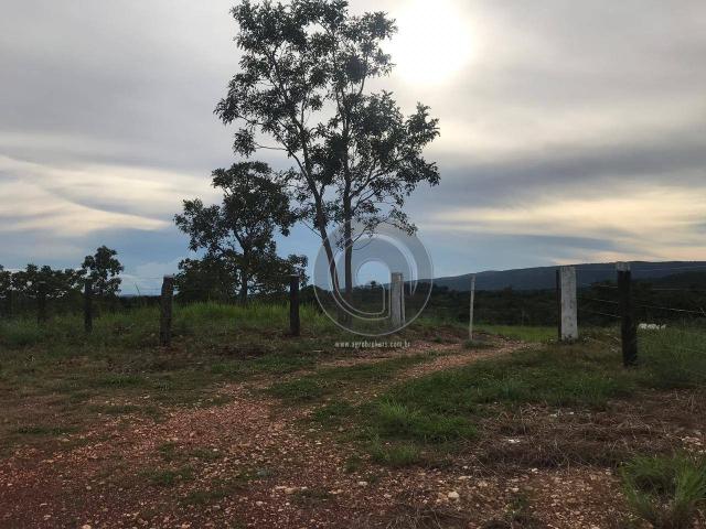 Sítio 11,8 ha na região distrito da guia - Foto 8