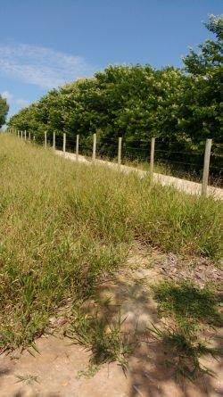 Contrato de permuta de terrenos