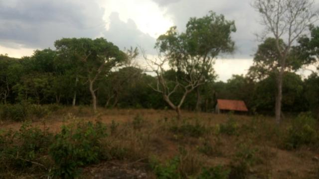 Sitio na jangada roncador - Foto 3