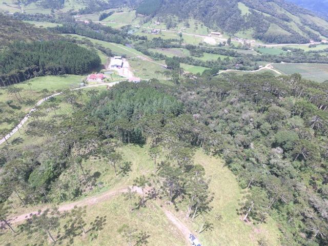 Sitio em Urubici /chácara em Urubici /área rural em Urubici - Foto 16