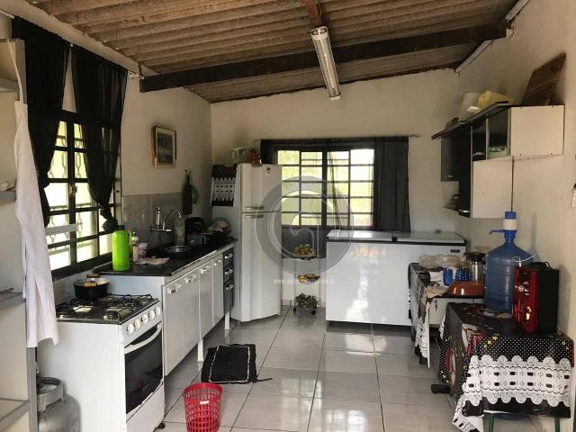 Sítio 11,8 ha na região distrito da guia - Foto 18