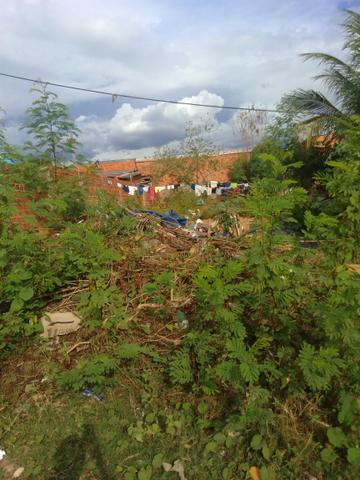 Terreno bairro Dr Fábio 1 - Foto 5
