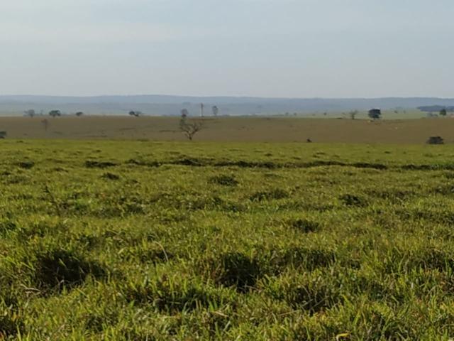 Fazenda Divisa com Paraguai 3.354 Alqueires Paulista!!!!!! - Foto 3