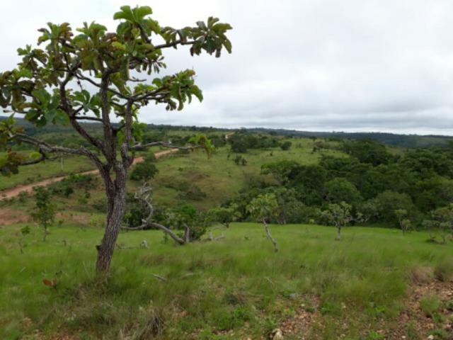 100 Hectáries 70 Km de Cuiabá - Foto 10