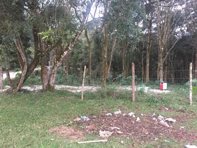 Terreno em colombo /1050 m2 / Chácara ou condomínio casas
