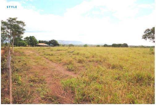 Fazenda em jangada - MT - Foto 16