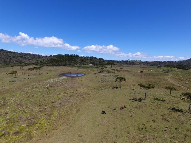 Sitio chácara em Urubici/ área rural - Foto 6
