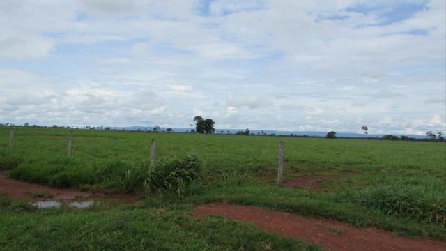 Fazenda 15000 hectares em vila bela, ha 60 km ponte e Lacerda - Foto 5