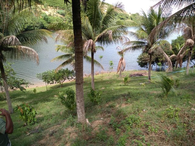 Venda: tel: whatsapp * - Foto 11