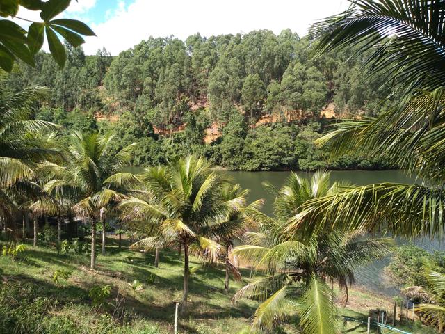 Venda: tel: whatsapp * - Foto 4