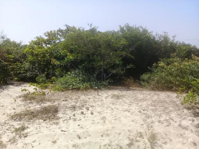Vendo Terreno Atins Lençóis Maranhenses