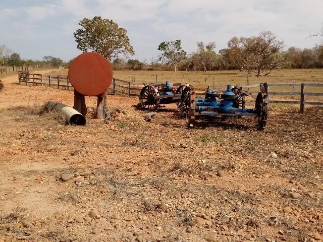 Fazenda para Pecuaria com 1.100 hectares na beira no Lago do Manso - Foto 13