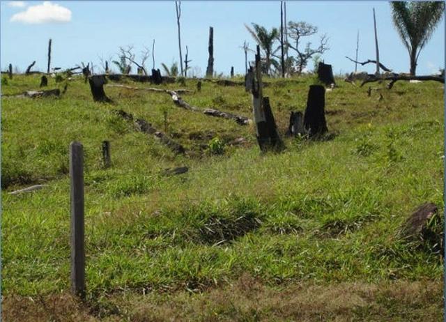 Fazenda região de Juara F0022 - Foto 8