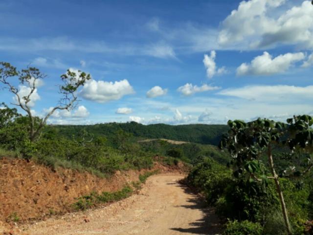 100 Hectáries 70 Km de Cuiabá - Foto 3
