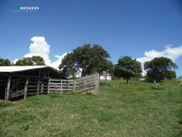 Fazenda à venda, 800000 m² por R$ 550.000,00 - Zona Rural - Nossa Senhora do Livramento/MT - Foto 19