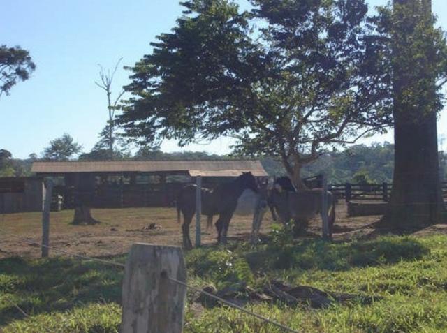 Fazenda região de Juara F0022 - Foto 4