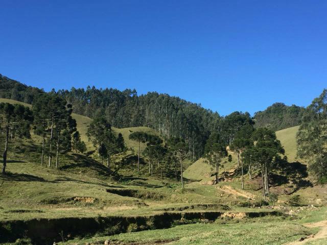 Fazenda anitápolis - Foto 16