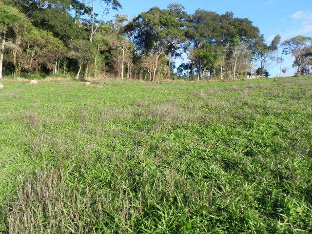 Paisagem perfeita, terreno lindo - Foto 4