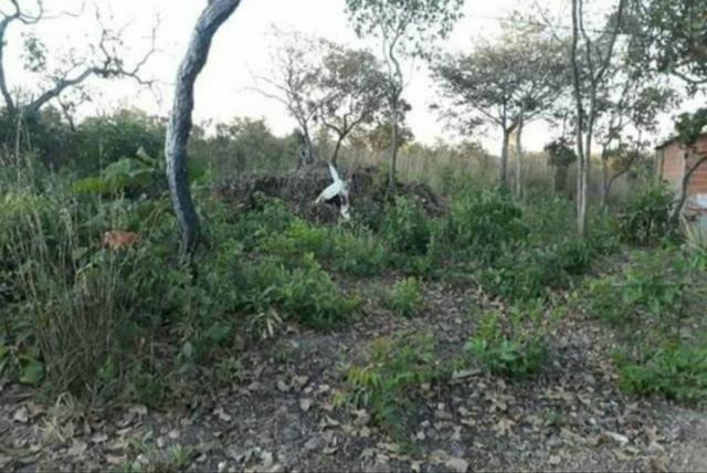 Lote sucuri 2