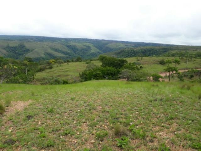 100 Hectáries 70 Km de Cuiabá - Foto 12