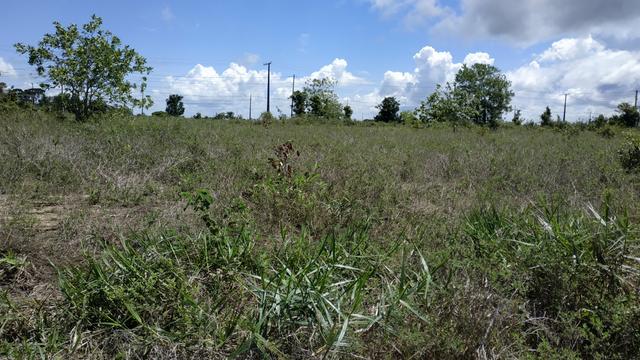 Terreno Olhos dagua - Foto 4