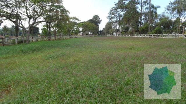 Haras à Venda em Sarapuí/SP - Foto 20