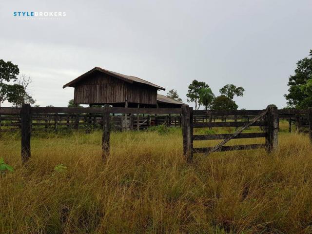 Fazenda em Porto Esperidião - Foto 3