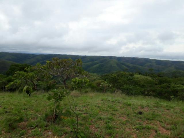 100 Hectáries 70 Km de Cuiabá - Foto 13