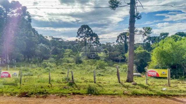 Terreno à venda em Boqueirão, Guarapuava cod:142198