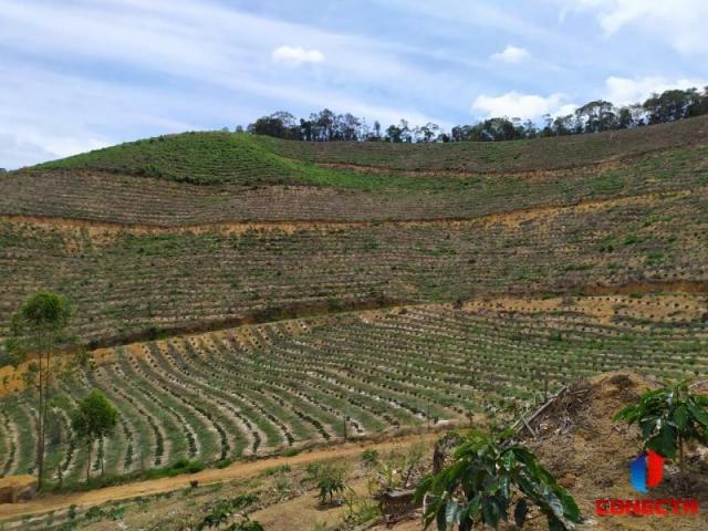 Terreno para Venda em Santa Maria de Jetibá, Centro - Foto 8