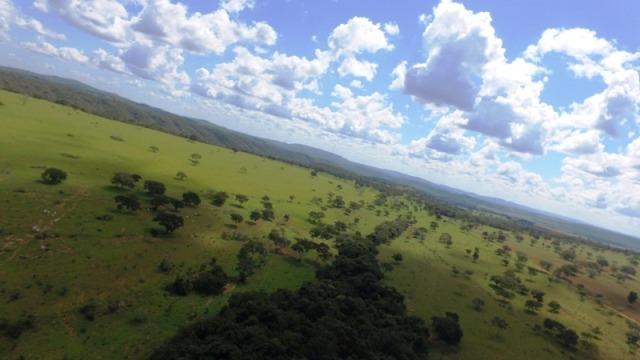 Fazenda em Ipameri (Soja e Pasto ; Beira Asfalto) - Foto 14