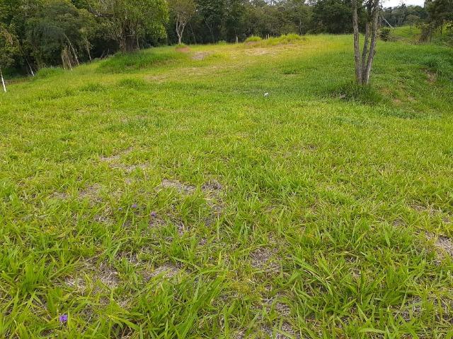 05- Alô Região ótimos preços em 1000mt² - Foto 14