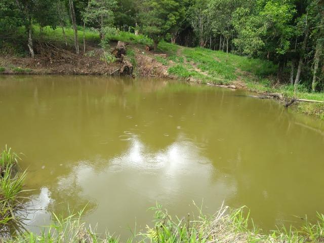 05- Alô Região ótimos preços em 1000mt² - Foto 4