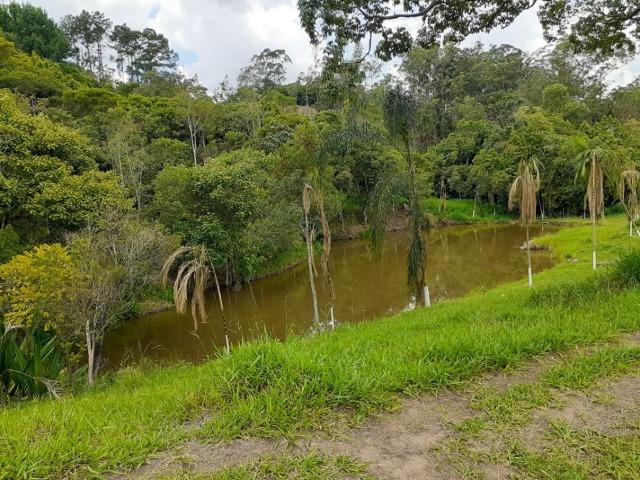 05- Paz em um lote de 1000mt² em área Rural - Foto 7
