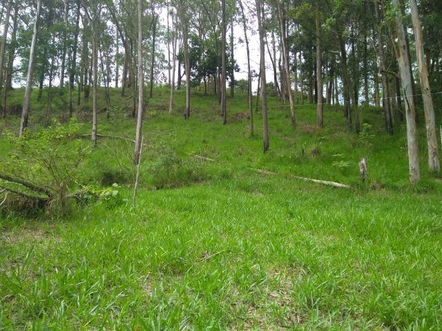 05- Alô Região ótimos preços em 1000mt² - Foto 6