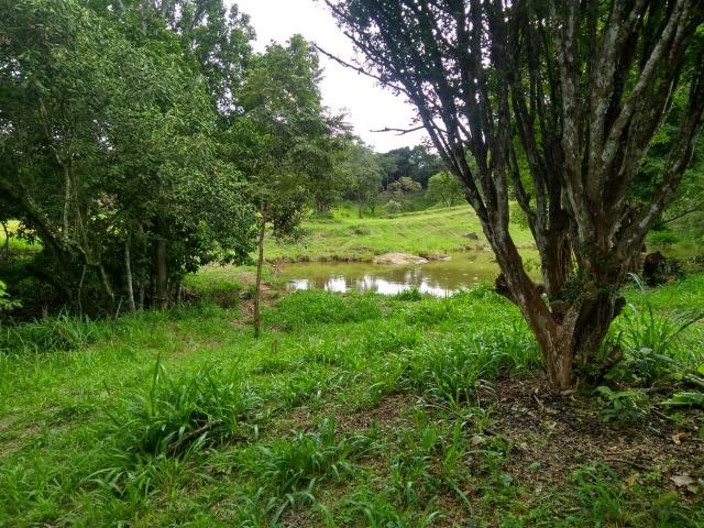 05- Alô Região ótimos preços em 1000mt² - Foto 13