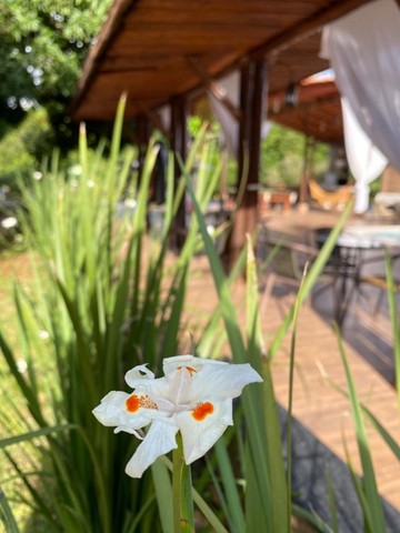 Chácara para alugar próximo a Goiânia - Foto 7