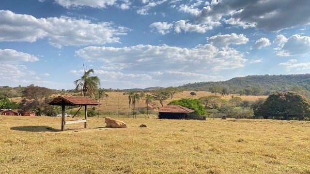 Fazenda de 120 Alqueires em Pirenópolis*