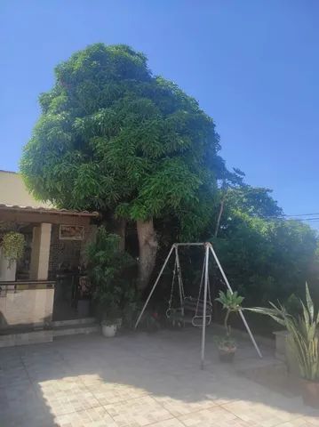 Poda de árvores profissional  - Foto 2